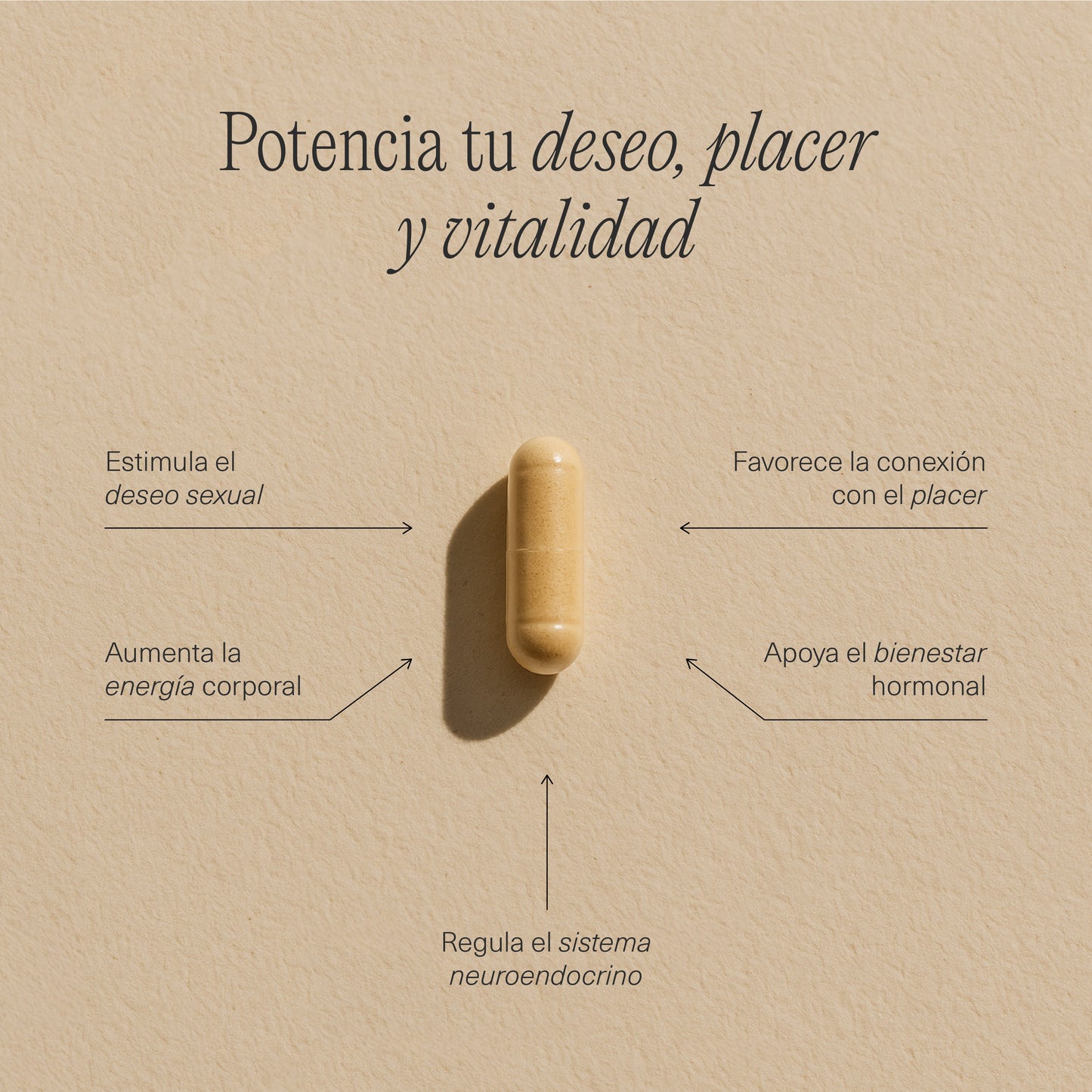 MENO PACK