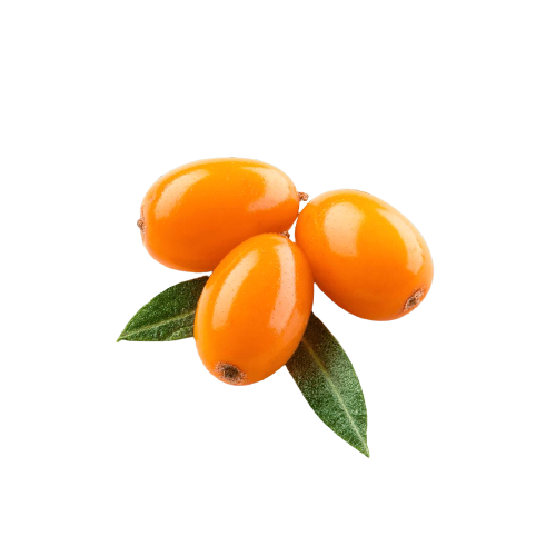 FemmeUp Oil
